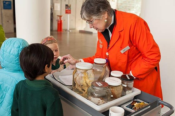 San Francisco CityPASS® - Picking your 2 museum choices: match the pass to your mood