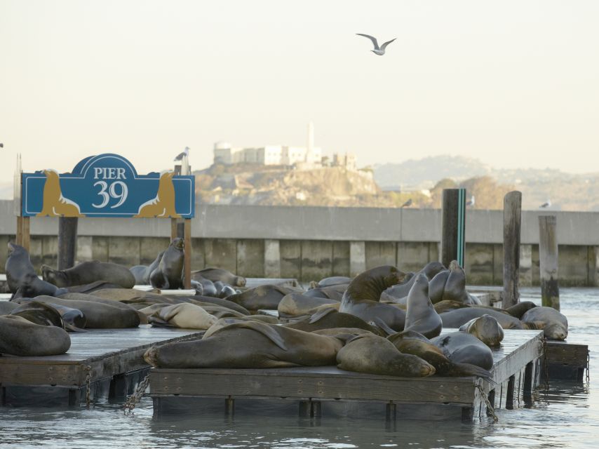 San Francisco CityPASS®: Save 46% at 4 Top Attractions - Mobile Tickets, Scanning, and the Reality of Day-of Entry