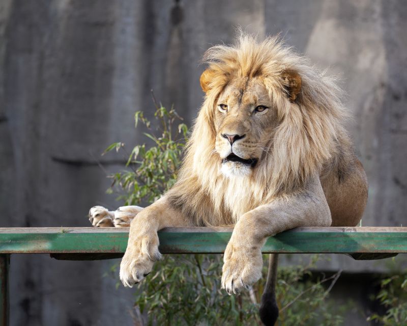 San Francisco CityPASS®: Save 46% at 4 Top Attractions - California Academy of Sciences: A Science Day That Works in Almost Any Weather