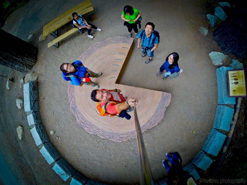 San Francisco: Day Trip to Yosemite with Giant Sequoias Hike - Key Things I’d Book This For