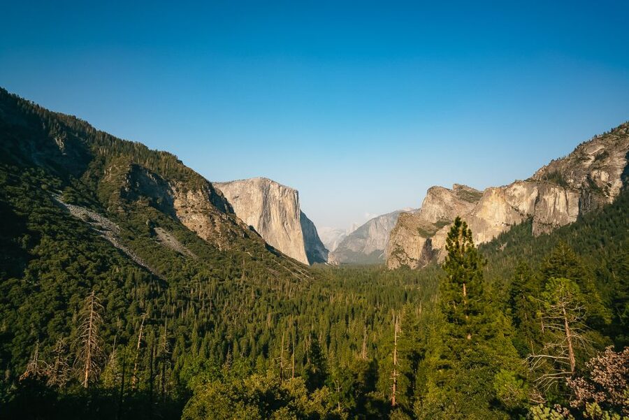 San Francisco: Day Trip to Yosemite with Giant Sequoias Hike - Tuolumne Grove: Your 2.5-Mile Giant Sequoias Hike