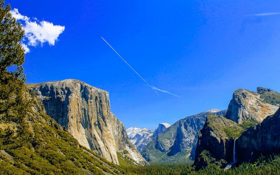 San Francisco: Day Trip to Yosemite with Giant Sequoias Hike - 1.5 Hours of Free Time in Yosemite Valley: Choose Your Own Pace