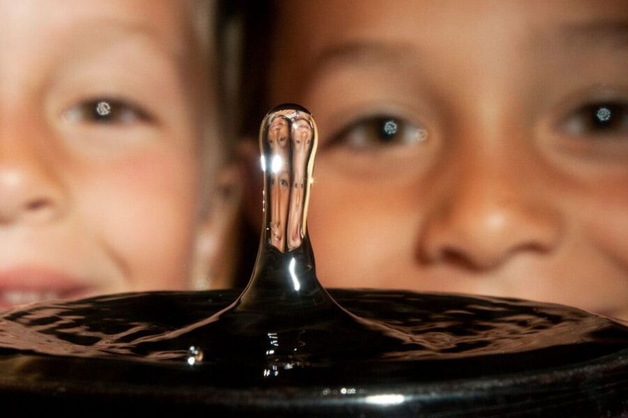 San Francisco: Exploratorium Ticket - 700+ Hands-On Exhibits - How the museum is laid out: six galleries plus outdoor science