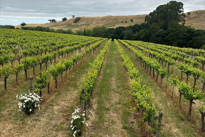 San Francisco: Full Day Coastal Redwoods & Wine Country Tour - Korbel Champagne Cellars: tasting time you can actually enjoy