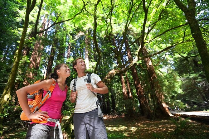 San Francisco: Full Day Coastal Redwoods & Wine Country Tour - Who this tour suits best, and who should think twice