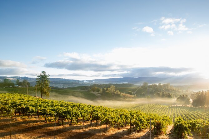 San Francisco: Full Day Coastal Redwoods & Wine Country Tour - Price and value: what you’re really paying for