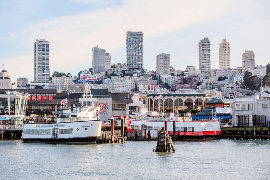 San Francisco: Golden Gate Bay Cruise - Wildlife on the Bay: how to spot it without losing your mind