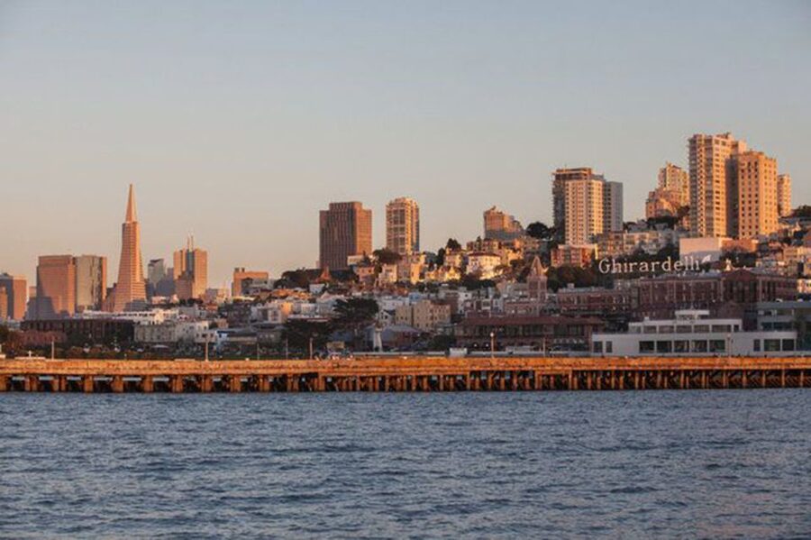 San Francisco: Golden Gate Bridge Catamaran Cruise - Sea lions and wildlife: what to expect and how to spot it
