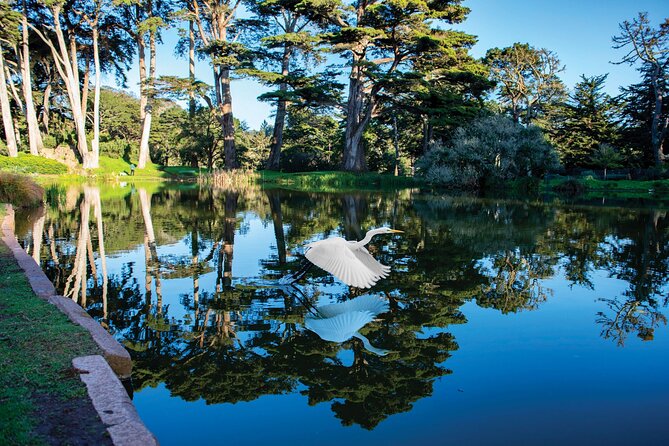 San Francisco Golden Gate Park Tour - Dutch Windmill, Rolling Sand Dunes, and the Final Push to the Coast