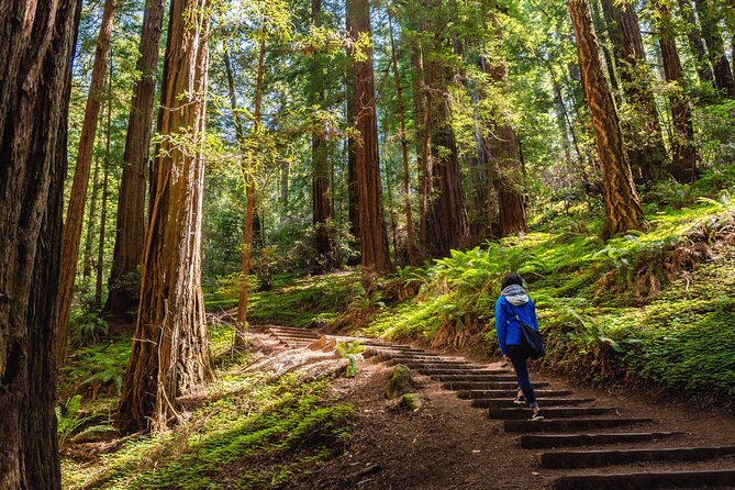 San Francisco, Golden Gate, Sausalito and Muir Woods Private Tour - Fort Point, Golden Gate Bridge, and Marin Headlands: the best viewing ladder in one loop