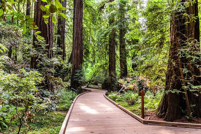 San Francisco, Golden Gate, Sausalito and Muir Woods Private Tour - Palace of Fine Arts, Lyon Street Steps, and the SF movie-photo loop
