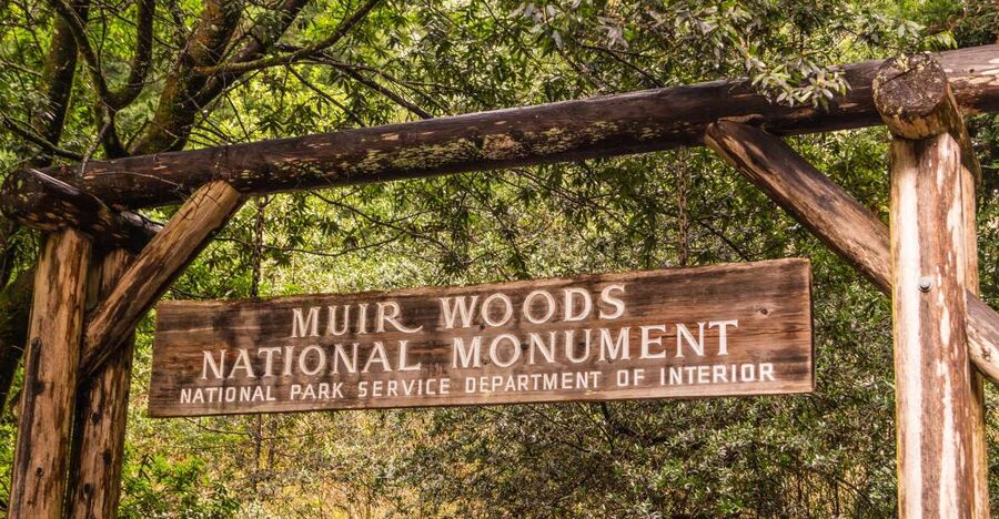 San Francisco Golden Gate Sausalito Muir Woods Private Tour - Golden Gate Park plus Ocean Beach and Lands End