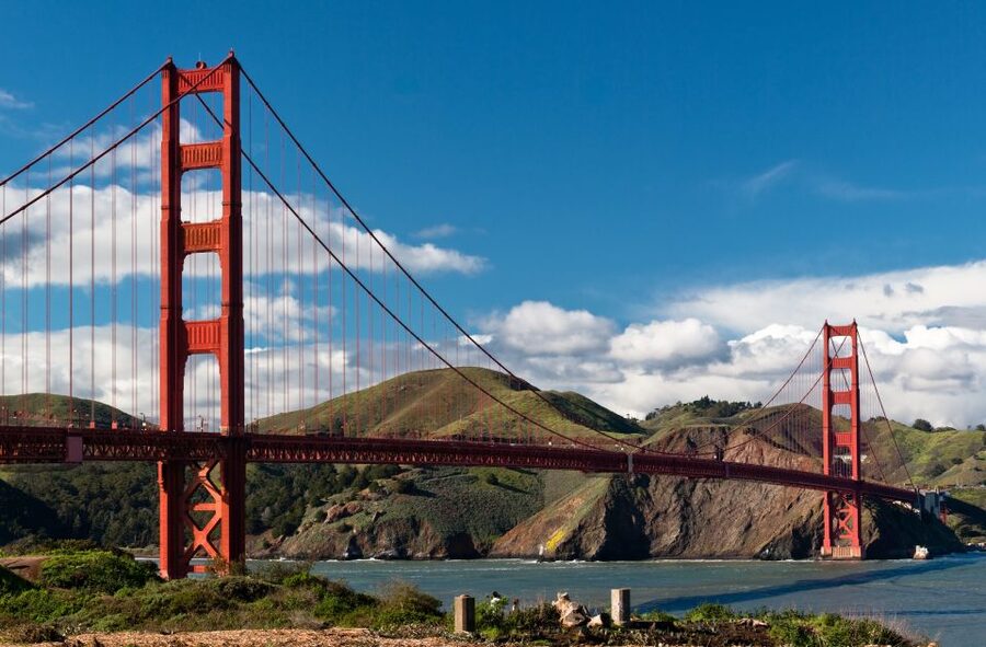 San Francisco Grand City Tour + Muir Woods and Sausalito - Golden Gate Park, Japanese Tea Garden, and the Park-to-Panorama Feel