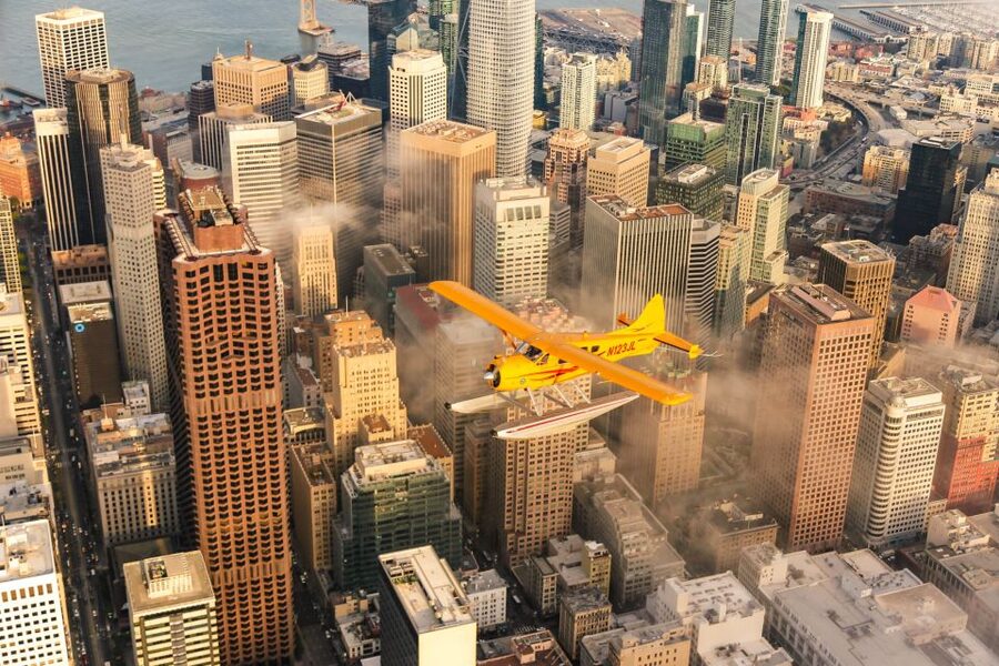 San Francisco: Greater Bay Area Seaplane Tour - Muir Woods From the Sky, Redwood Scale Without the Trail