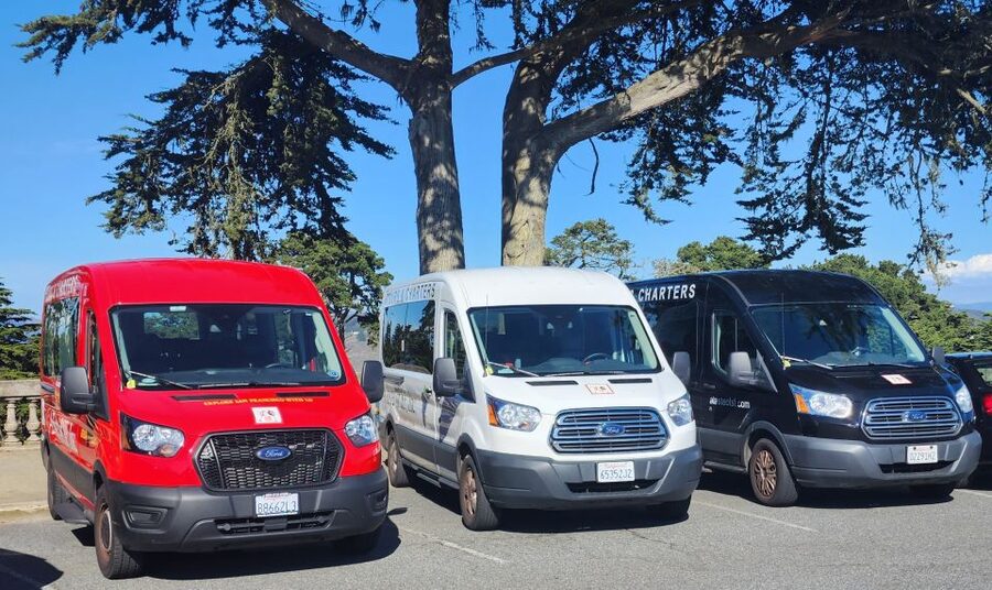San Francisco: Guided Half-Day Group City Tour - Sea Cliff and Richmond, where the views are the whole point