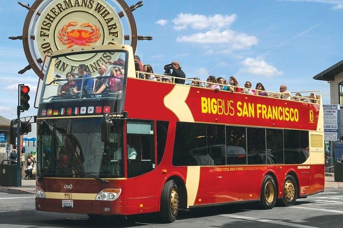 San Francisco: Guided Muir Woods Tour & Hop-on Hop-off Bus Tour - Sausalito after the redwoods: photos, viewpoints, and a slower bay town feel
