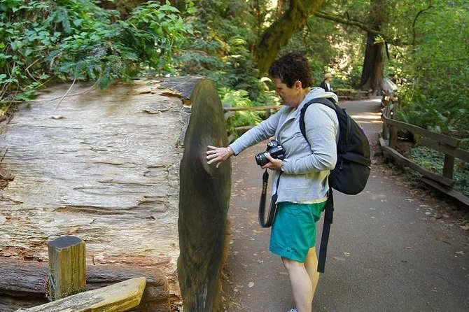 San Francisco: Guided Muir Woods Tour & Hop-on Hop-off Bus Tour - Panoramic sunset tour: the light chase that makes SF feel cinematic