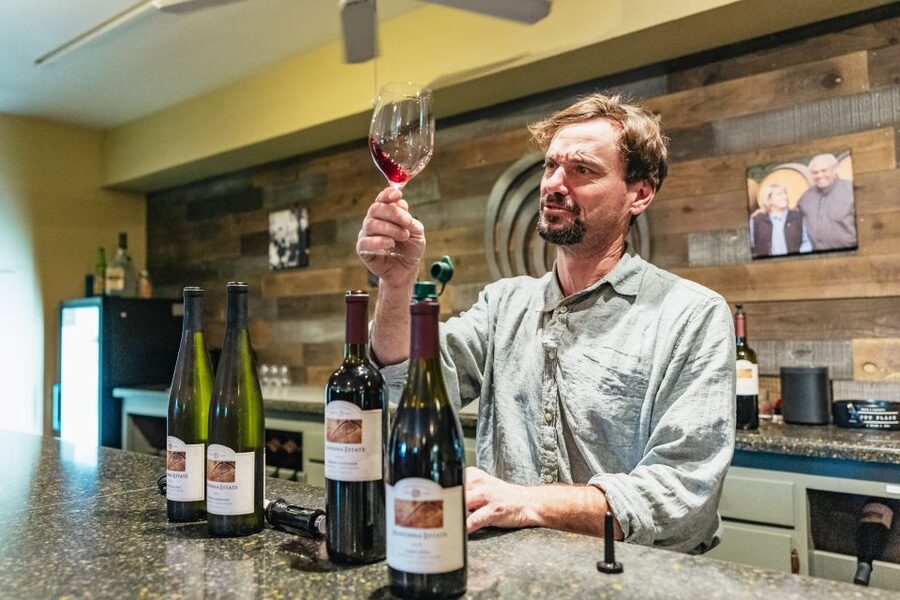 San Francisco: Half-Day Wine Country Excursion with Tastings - Two Wineries, 3 to 5 Tastings Each, and a Barrel Room Look
