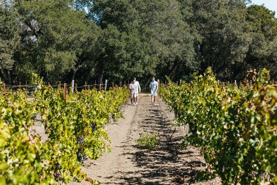 San Francisco: Half-Day Wine Country Excursion with Tastings - Price Breakdown: Does $109 Feel Fair?