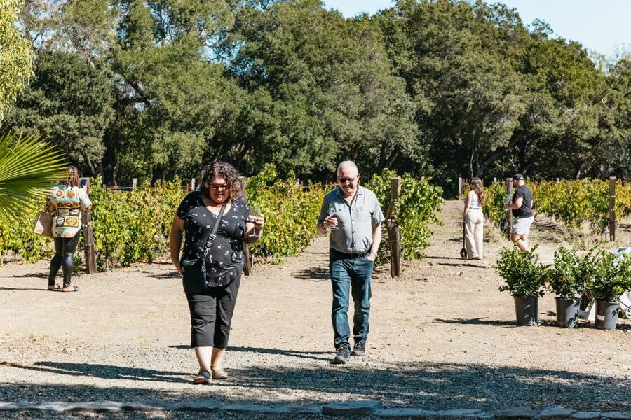 San Francisco: Half-Day Wine Country Excursion with Tastings - Who This Tour Fits Best (and who should skip it)