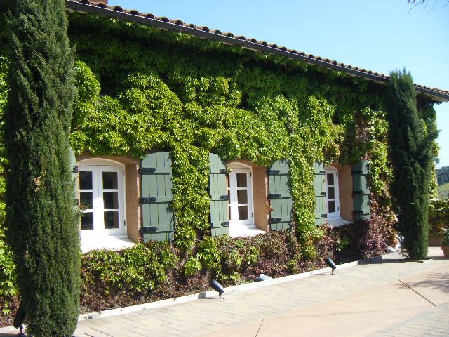 San Francisco: Half-Day Wine Country Tour with Wine Tastings - From 99 Jefferson St to the Golden Gate Bridge, the ride sets the tone