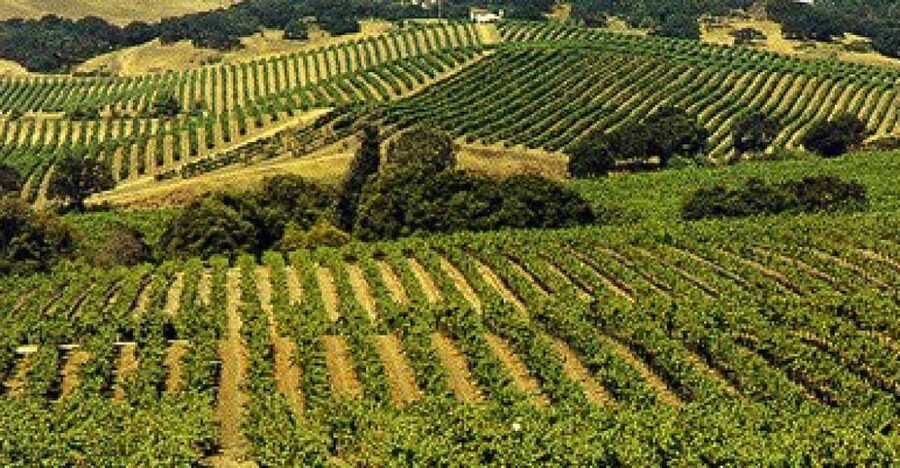 San Francisco: Half-Day Wine Country Tour with Wine Tastings - Sausalito and Marin County: where the views help you reset