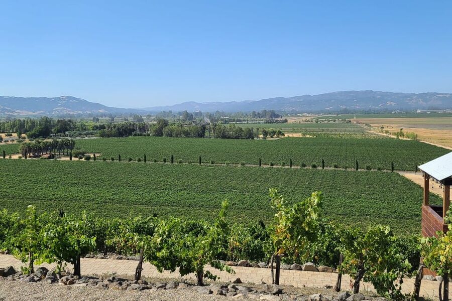 San Francisco: Half-Day Wine Tour with 2 Tastings Included - A half-day wine run that starts with the Golden Gate Bridge