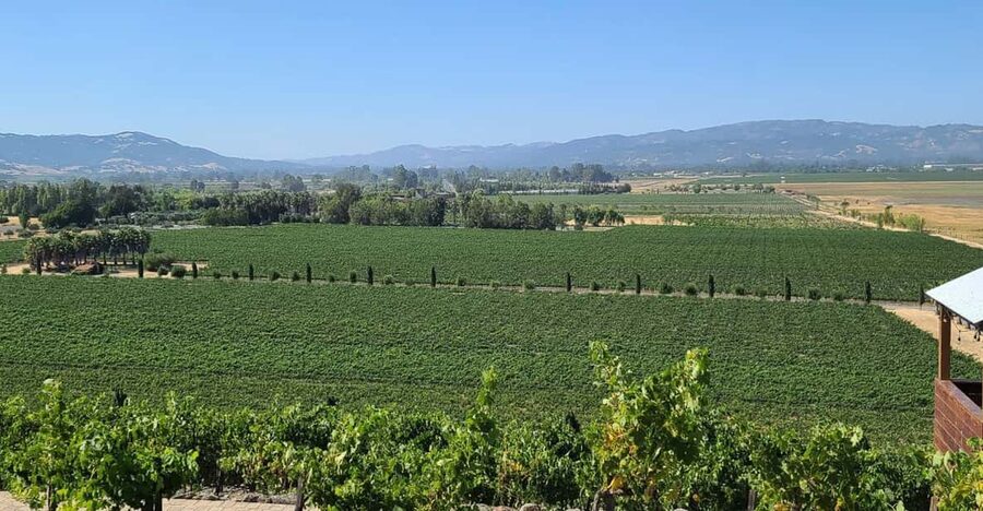 San Francisco: Half-Day Wine Tour with 2 Tastings Included - Rolling through Sausalito and Marin before Sonoma Valley begins