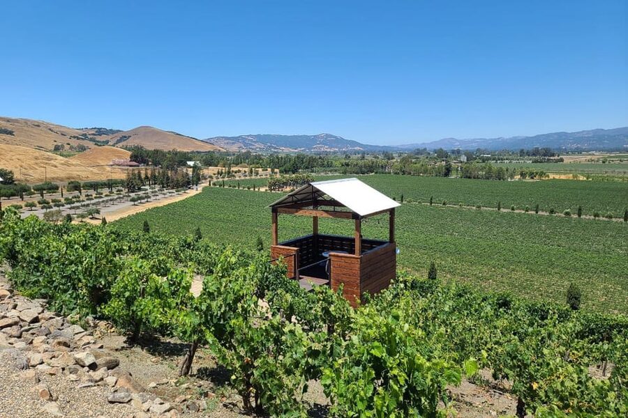 San Francisco: Half-Day Wine Tour with 2 Tastings Included - Two winery stops, each with its own style and size