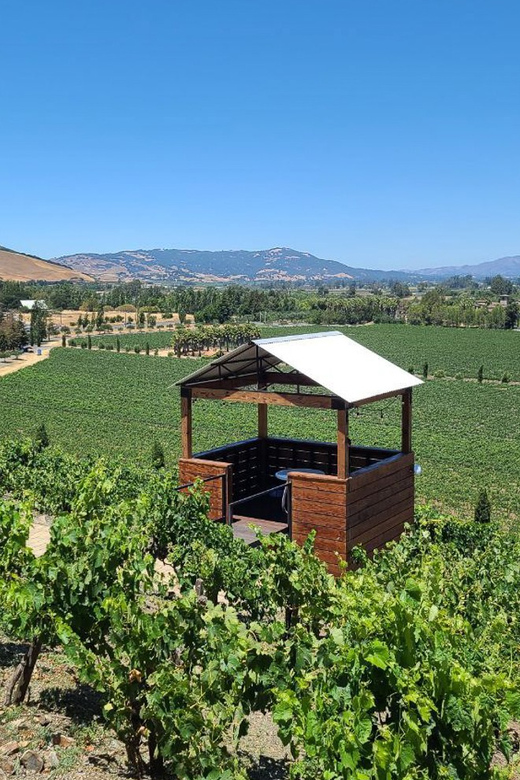 San Francisco: Half-Day Wine Tour with 2 Tastings Included - Marin County Vista Point: the bay, the bridges, and the islands in one view