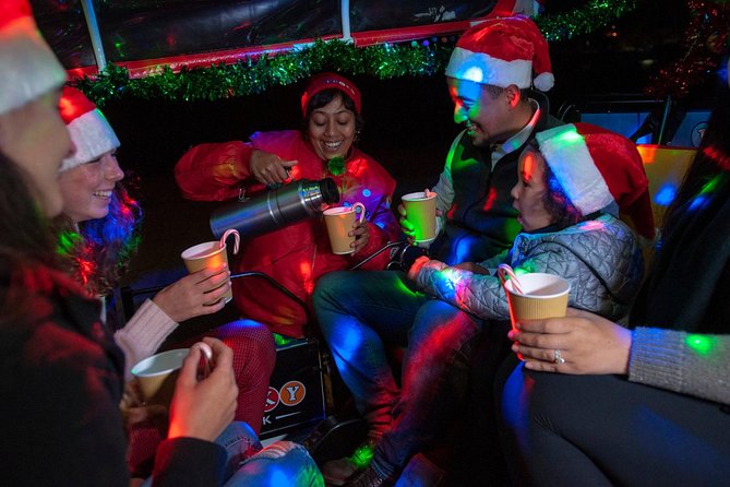 San Francisco Holiday Season Private Tour - Lucky Tuk Tuk - Key highlights worth getting excited about