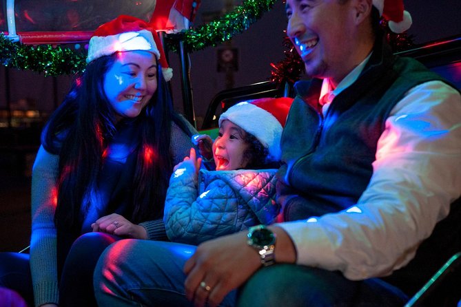 San Francisco Holiday Season Private Tour - Lucky Tuk Tuk - Tips to Get the Most From Your 1.5 Hours