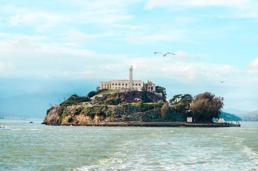 San Francisco: Hop-On Hop-Off Bus with Ferry & Alcatraz Tour - Night Tour Makes San Francisco Feel Like a Different City