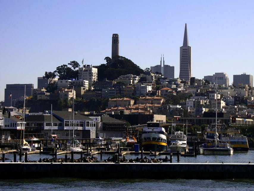 San Francisco: Hop-On Hop-Off City Bus Tour and Bay Cruise - Key Highlights You Will Actually Feel