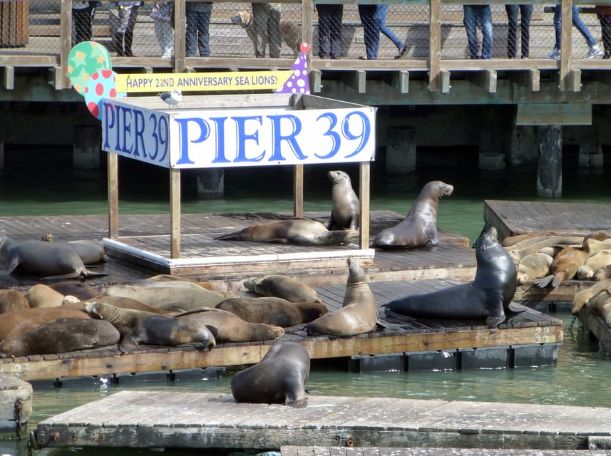San Francisco: Hop-On Hop-Off City Bus Tour and Bay Cruise - Price and Value: What $99 Buys You in Real Life