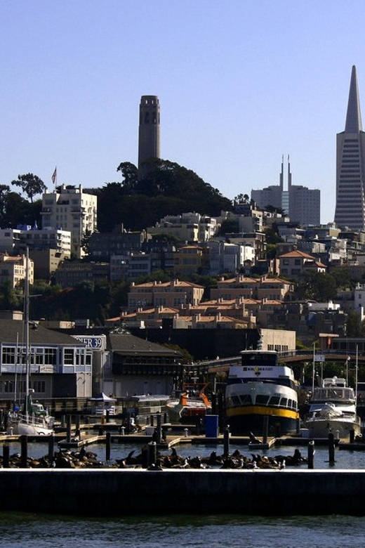 San Francisco: Hop-On Hop-Off City Bus Tour and Bay Cruise - Who This Tour Fits Best