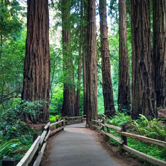 San Francisco: Hop-On Hop-Off Sightseeing Tour with 17 Stops - Comfort, wind, and practical gear for open-top San Francisco