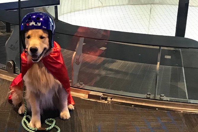 San Francisco Indoor Skydiving with 2 Flights & Personalized Certificate - Who this is perfect for, and who should think twice