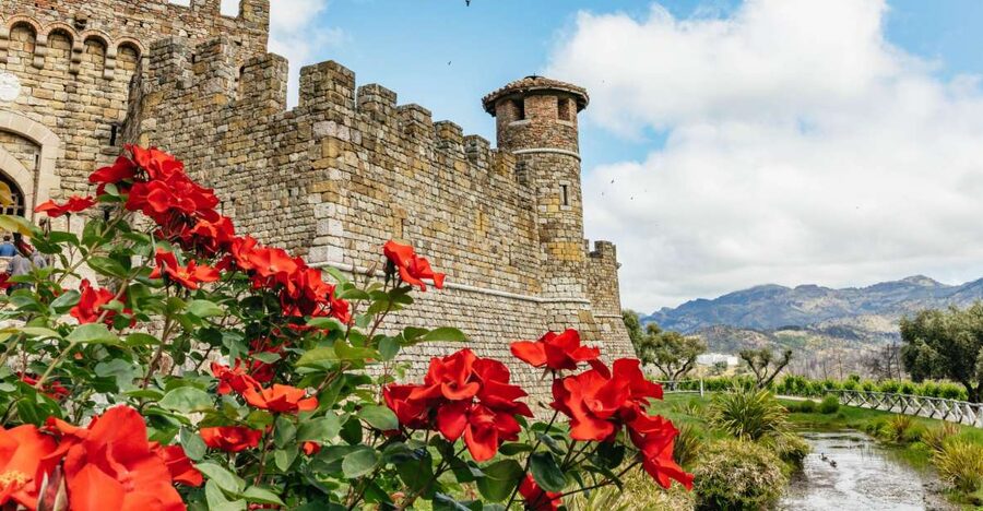 San Francisco: Luxury Small-Group Wine Tour of Napa Valley - Key things I’d underline before you go