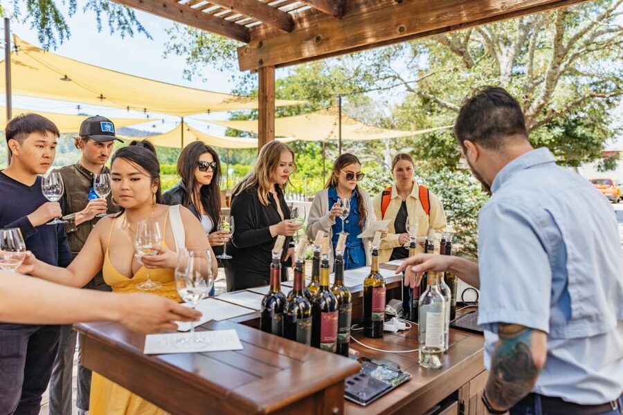 San Francisco: Luxury Small-Group Wine Tour of Napa Valley - Ru Vango and Carneros AVA: reserve flight with art in the salon