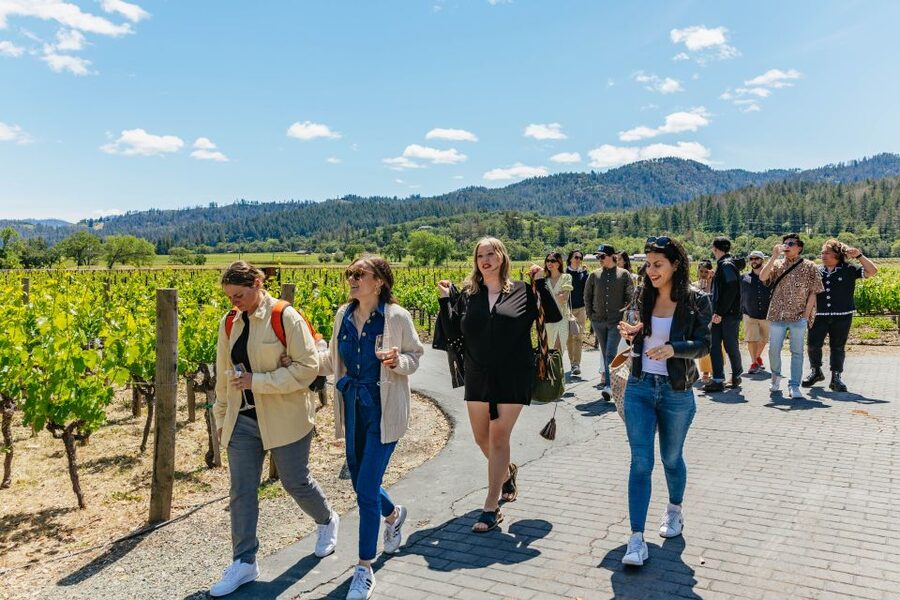 San Francisco: Luxury Small-Group Wine Tour of Napa Valley - Price check: does $299 feel fair for this day?