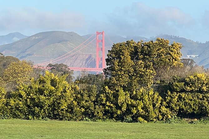 San Francisco: Major Landmarks Private Sightseeing Tour - Golden Gate Bridge plus bay-side viewpoints: getting the views with less friction