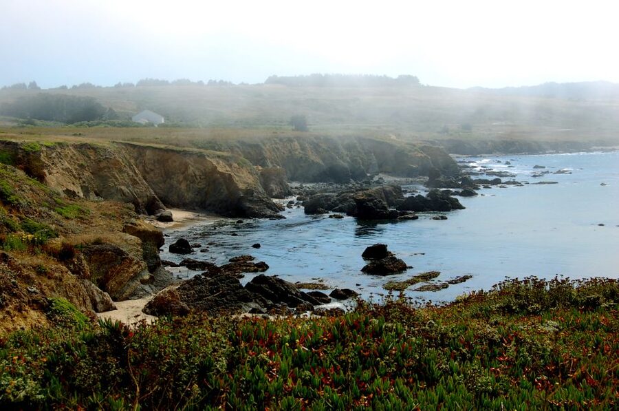 San Francisco: Monterey and Carmel Day Tour - Who should book this tour, and who should skip it