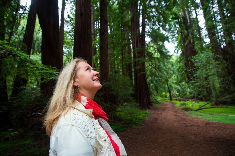 San Francisco: Morning Muir Woods & Sausalito Tour w/ Ferry - Sausalito lunch and browsing time