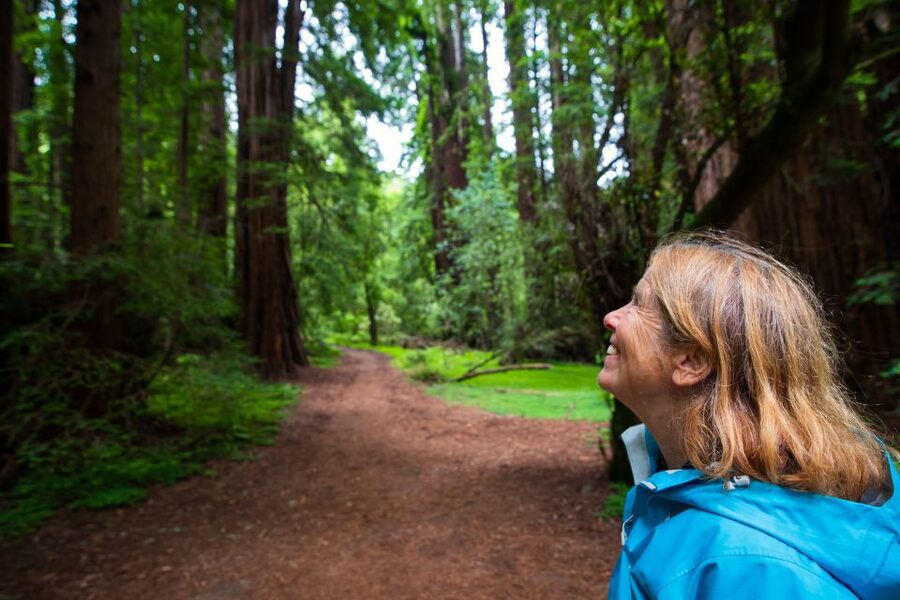 San Francisco: Morning Muir Woods & Sausalito Tour w/ Ferry - Guide energy and what to expect from the day