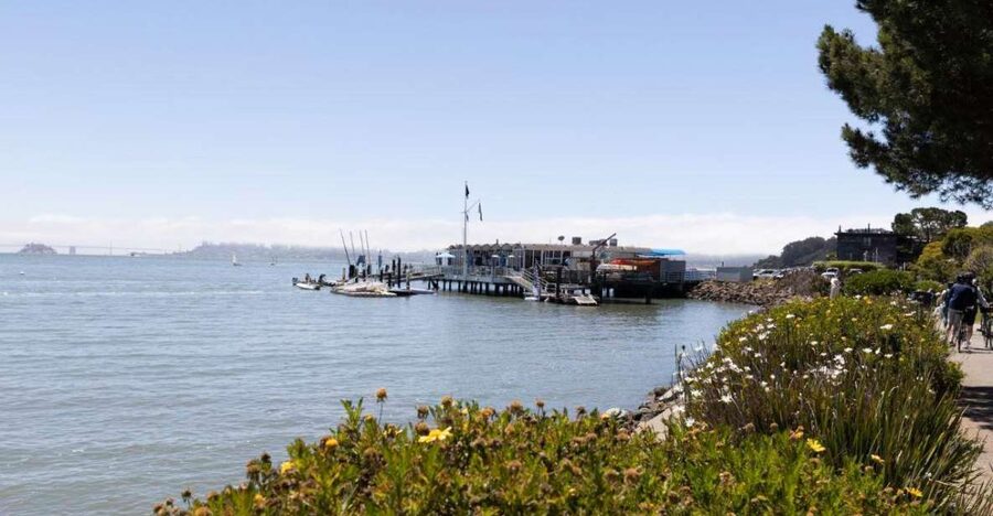 San Francisco: Muir Woods and Sausalito Entry Fee Included - Who this San Francisco half-day tour is best for