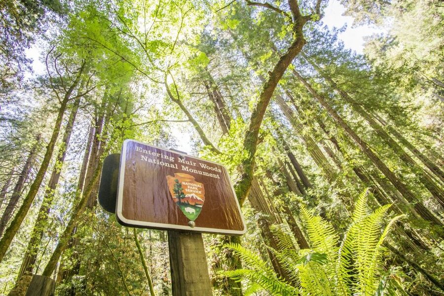 San Francisco: Muir Woods and Sausalito Experience - North Vista Point photos: weather matters, and you can plan for it