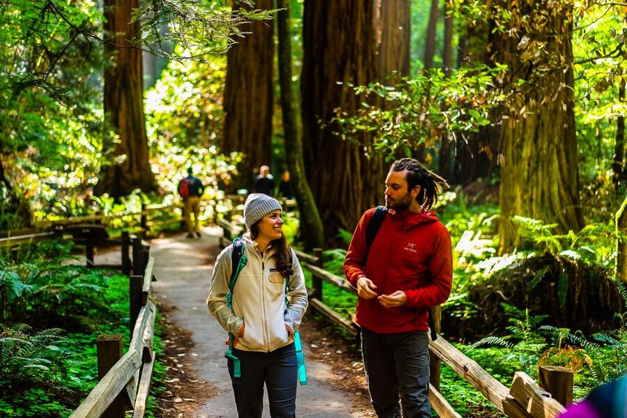 San Francisco: Muir Woods and Sausalito Half-Day Trip - What makes the guides matter on this route