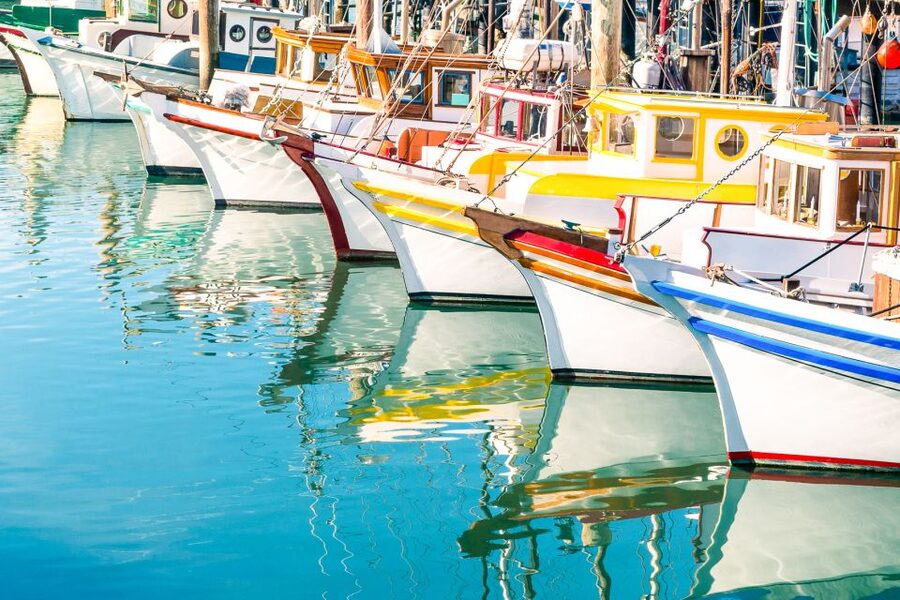 San Francisco: Muir Woods and Sausalito Half-Day Trip - Sausalito: 45 minutes to shop, stroll, and take in the views