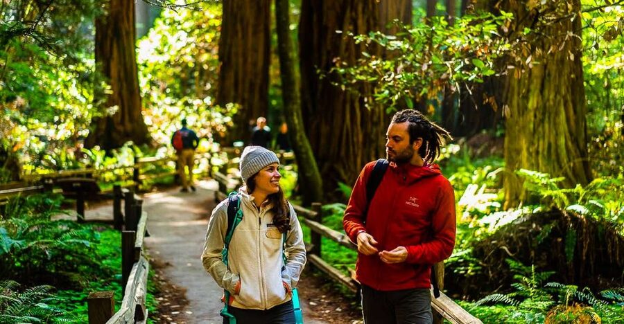 San Francisco: Muir Woods and Sausalito Half-Day Trip - Meeting point in downtown San Francisco: easy start, fast exit